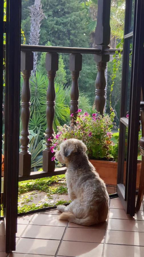 La Casa Del Torreon Bed & Breakfast Aljaraque Ngoại thất bức ảnh
